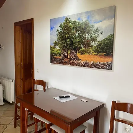 Apartmán Green Studio