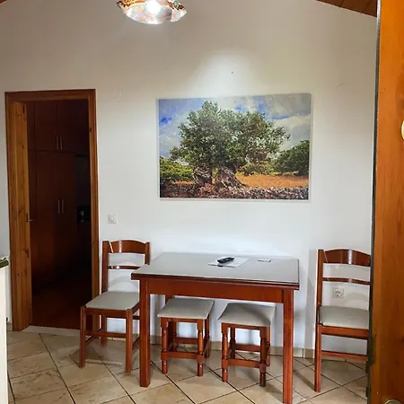 Green Studio Gaios